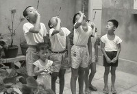 1950至2006年臺灣常民生活藏品圖，第1張
