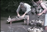 〈洗い場〉洗滌區（1950至2006年臺灣常民生活）藏品圖，第1張