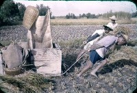 收打穀機（1950至2006年臺灣常民生活）藏品圖，第1張