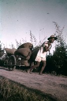 〈豐收〉（1950至2006年臺灣常民生活）藏品圖，第1張