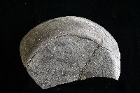 陶罐藏品圖，第6張