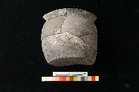 陶罐藏品圖，第9張