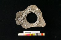 陶罐藏品圖，第1張