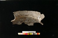 陶罐藏品圖，第1張