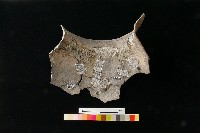 陶罐藏品圖，第4張