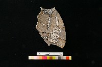 陶罐藏品圖，第1張