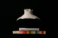 陶瓶藏品圖，第2張