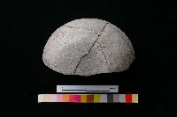 陶蓋藏品圖，第1張