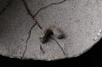 陶蓋藏品圖，第6張