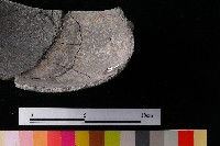 陶缽藏品圖，第6張