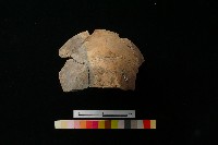 陶缽藏品圖，第5張