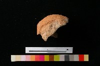 陶蓋藏品圖，第2張