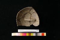 陶蓋藏品圖，第1張