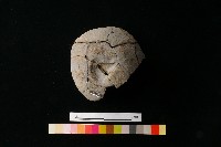 陶蓋藏品圖，第3張