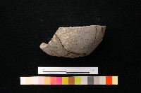 陶蓋藏品圖，第6張