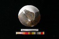 陶蓋藏品圖，第4張