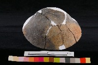 陶蓋藏品圖，第6張