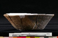 陶蓋藏品圖，第8張