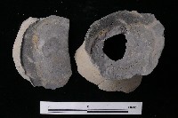 陶片藏品圖，第1張