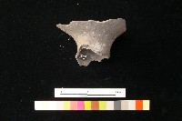 陶片藏品圖，第2張