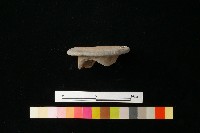 陶蓋藏品圖，第2張