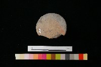 陶蓋藏品圖，第3張