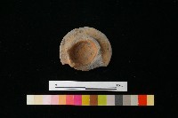 陶蓋藏品圖，第1張