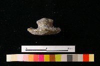 陶蓋藏品圖，第2張