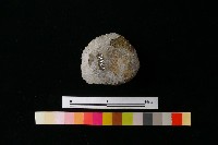 陶蓋藏品圖，第1張