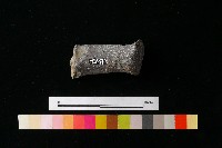 獸足藏品圖，第4張