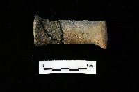 獸足藏品圖，第2張