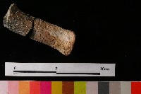 獸足藏品圖，第4張