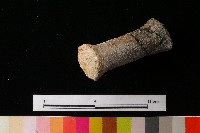 獸足藏品圖，第7張