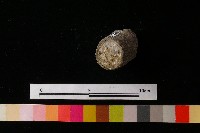 獸足藏品圖，第4張