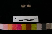 陶環藏品圖，第2張