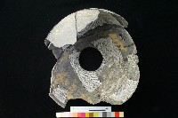 陶罐藏品圖，第6張