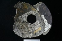 陶罐藏品圖，第7張