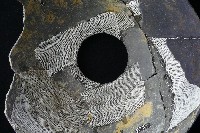 陶罐藏品圖，第8張