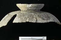 陶罐藏品圖，第6張