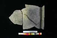 陶缸藏品圖，第1張
