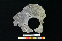 陶罐藏品圖，第2張