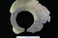 陶罐藏品圖，第1張