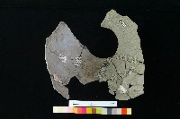 陶罐藏品圖，第2張