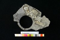 陶罐藏品圖，第2張