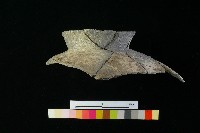 陶罐藏品圖，第4張