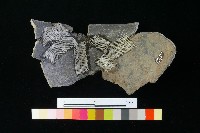 陶罐藏品圖，第2張