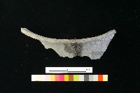 陶缸藏品圖，第1張