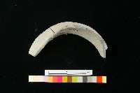 陶罐藏品圖，第4張