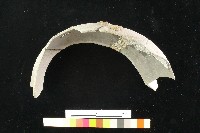 陶罐藏品圖，第4張