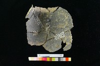 陶罐藏品圖，第2張